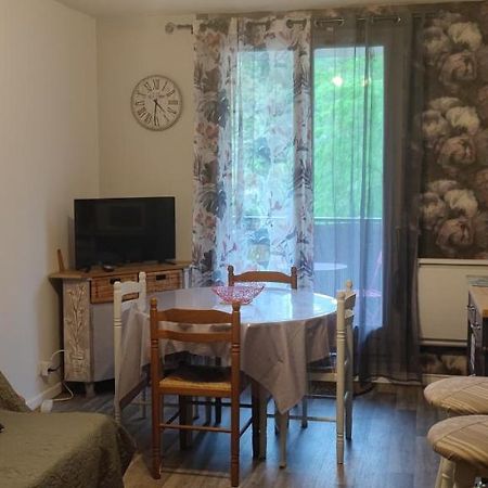 Appartement Avec Vue Sur La Montagne Bagnères-de-Luchon Eksteriør billede